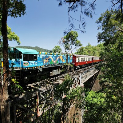 a train traveling down train tracks next to a tree