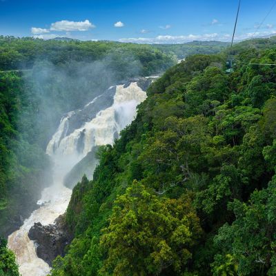 a train traveling down train tracks near a forest