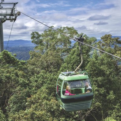 a bus driving down a street next to a tree