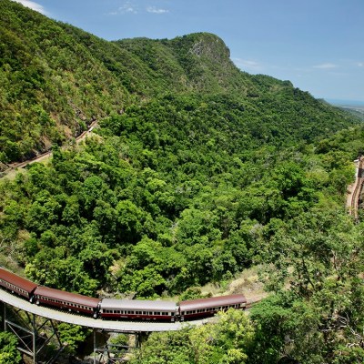 a train traveling through a lush green hillside
