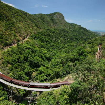 a train traveling through a lush green hillside