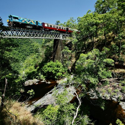 a train traveling down train tracks near a forest